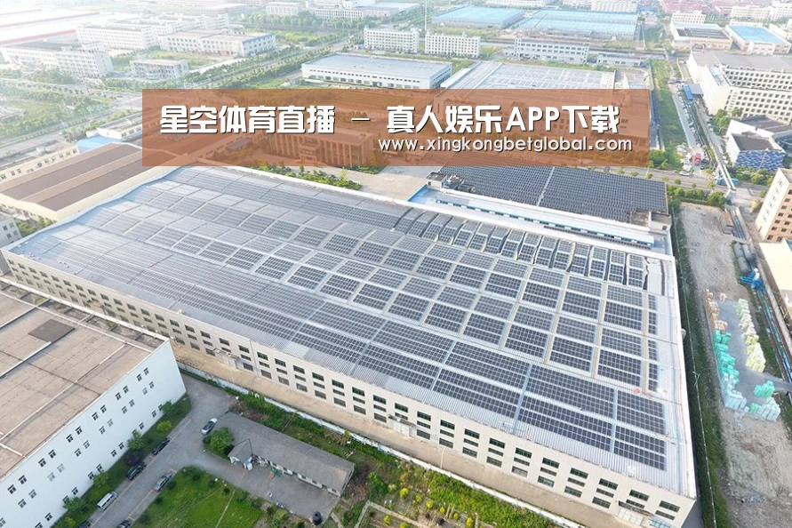 案例展示一
