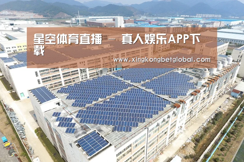案例展示一