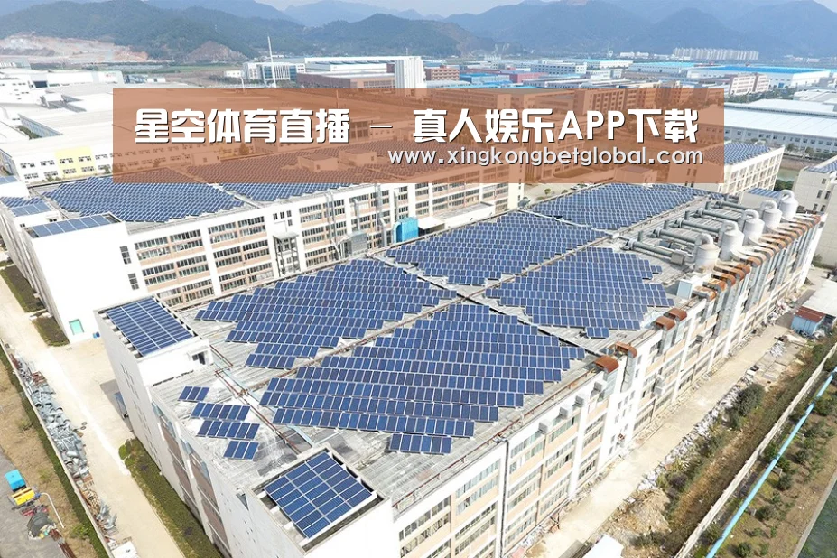 案例展示三