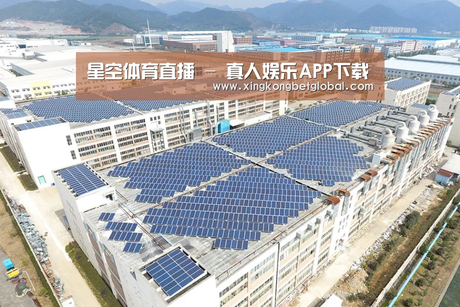 案例展示四