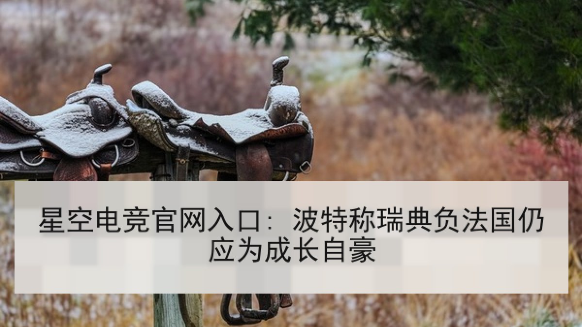 星空电竞官网入口: 波特称瑞典负法国仍应为成长自豪 星空电竞官网入口: 波特称瑞典负法国仍应为成长自豪
