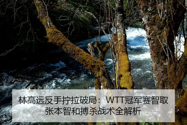 林高远反手拧拉破局：WTT冠军赛智取张本智和搏杀战术全解析