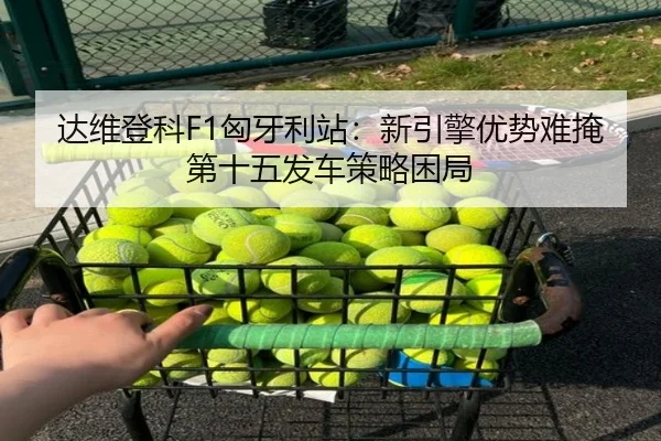 da-wei-deng-ke-xiong-ya-li-zhan-xin-yin-qing-you-shi-nan-yan-di-shi-wu-fa-che-ce-lve-kun-ju-2-352.jpg