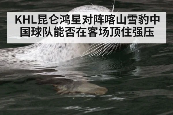 KHL昆仑鸿星对阵喀山雪豹中国球队能否在客场顶住强压